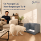 🐾 Sanita para cães com 3 paredes anti-salpicos ✨ Protege o chão e as paredes, dobrável e ocupa pouco espaço