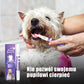 🥳PROMOÇÃO IMPERDÍVEL DE 2026🥳✨Gel de recuperação oral para animais de estimação