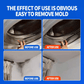 🧼 Spray para remover bolor – Poder de limpeza 3 em 1 para uma casa mais fresca ✨🏠