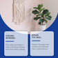 👍ÚLTIMO DIA – COMPRE 1 E GANHE 1 GRÁTIS🧱Kit eficiente para reparação de gesso cartonado com raspador🛠️✨