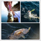 🔥50% de desconto🐟Isca de pesca robô multiarticular com LED⚡️Compre uma vez, use novamente e novamente❗️