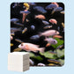 🐠 COMPRE 1 E GANHE 1 GRÁTIS! ✨ FOLHAS CLARIFICANTES PARA AQUÁRIOS - Água cristalina em 24 horas, remove odores e impurezas, seguro para todos os peixes e plantas 🌿🔮