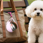 🐾 Garrafa de água dobrável para animais – Portátil, estanque e ideal para viagens ✨💧