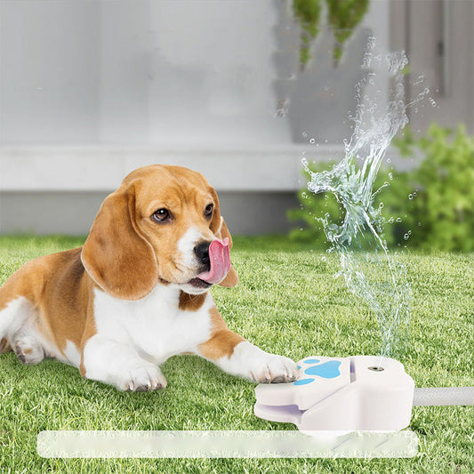 🐶🐕Fonte de água ativada com pata de cão