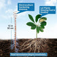 🔥 50% DE DESCONTO – Antena de cobre para eletrocultura | Estimula o crescimento das plantas com um único fio