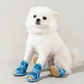 🐶👟Sapatos antiderrapantes em malha respirável para cães