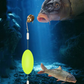 🐟️🎣Montagem de pesca universal com bóia