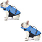 💞Mais de 50 mil unidades vendidas!🐕👼 50% DE DESCONTO! Colete salva-vidas refletor para cães com asas de anjo – Elevada flutuabilidade, alça de resgate rápido e malha respirável. Faixas refletoras para banhos à noite. Seguro e adorável! 🌊✨