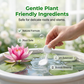 🥳 2026 venda quente 🥳💞 50K+ VENDIDO! 💧🌿  50% de desconto! Comprimidos de Purificação de Água - Limpa algas e turbidez, mantém a água da planta cristal limpa. Um tablet, resultados instantâneos!   🌱✨