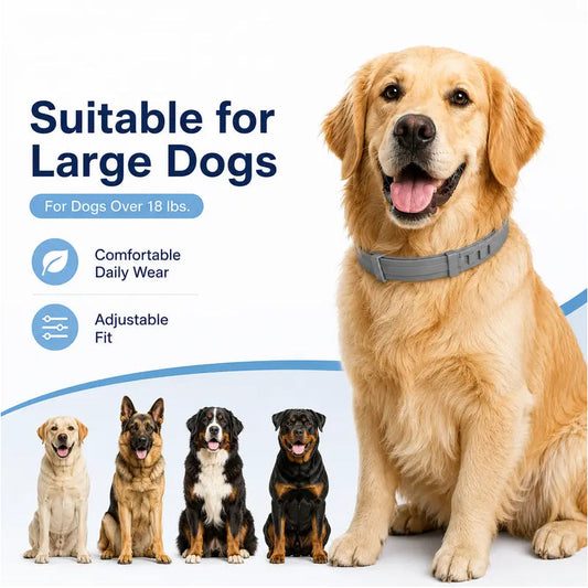 🔥Desconto de 50% no último dia🐶 🐱 🪲Coleiras ajustáveis antiparasitárias para cães e gatos
