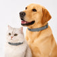 🔥Desconto de 50% no último dia🐶 🐱 🪲Coleiras ajustáveis antiparasitárias para cães e gatos