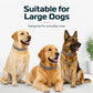 🔥Desconto de 50% no último dia🐶 🐱 🪲Coleiras ajustáveis antiparasitárias para cães e gatos
