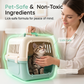 🥳PROMOÇÃO QUENTE DE 2026🥳💞Mais de 50 mil unidades vendidas!🐱🧼 50% de desconto! Spray de limpeza portátil para transportadoras de gatos – Fórmula de ação rápida e não tóxica. Elimina odores e manchas instantaneamente. Seguro para plástico e tecido! 🛡️✨