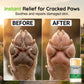 🔥Promoção quente: 50% de desconto🔥 Bálsamo hidratante em bastão para patas de animais de estimação – Coco e cera de abelha, seguro se lamberem, não suja 🐾