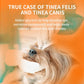 Produto de limpeza para os olhos de animais de estimação