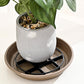 🌱🛒 -50%! 🏡Elevador de vasos com poupador de raízes – Eleva os vasos, favorece a circulação de ar, mantém o solo limpo – para uso no interior e no exterior. 🔥🌿