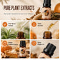 📢 📢 Desconto de 50 % no último dia🔥Conjunto de óleos essenciais com aromas de Halloween