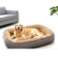 🐾 DESCONTO DE 50% POR TEMPO LIMITADO! ☁️ Cama ergonómica e confortável para animais de estimação, para todas as estações – Aconchegante, respirável e confortável ✨