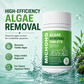 🐟 50% DE DESCONTO AGORA! 🌿 Comprimidos de ação rápida para remoção de algas em aquários – eliminação eficaz de algas, inibição duradoura e seguro para os peixes – perfeito para manter a água do aquário limpa e cristalina 🐠✨