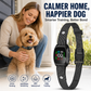 🥳💞Mais de 50 mil unidades vendidas! 🛡️🐾 50% de desconto! Coleira anti-latido – O sistema inteligente anti-falsos alarmes filtra outros latidos. Resistente à água (IP67) e recarregável por USB – treino sem preocupações em qualquer lugar! 💦✅