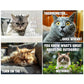 ⏳Oferta por tempo limitado – 50 % DE DESCONTO⏰🐱 Calendário divertido sobre gatos – 12 meses de humor travesso em torno dos gatos