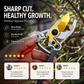 🔥✂️ Pode de forma limpa e rápida! Tesouras SK5 para podar e aparar – Ideais para ramos, sebes e trabalhos de jardinagem ✨