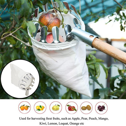 📢📢50% DE DESCONTO!! ⏰Cesto para colheita de fruta – Design resistente, fácil de fixar e perfeito para alcançar ramos altos sem precisar de uma escada 🌳