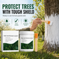 💞Mais de 50 mil unidades vendidas! 🌳🛡️ 50% DE DESCONTO! Conjunto protetor para troncos de árvores com acabamento branco – 300 g com pincel, protege a casca da geada e dos insetos. Fácil de aplicar com pincel, proteção para todas as estações! ❄️✅